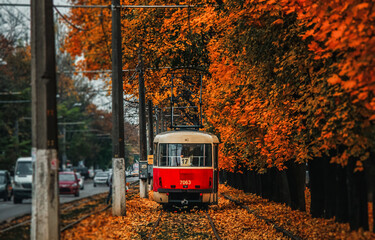 Obraz premium The red tram in the autumn urban landscape. Odessa, Ukraine 