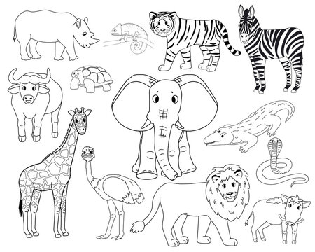 Set of white cartoon isolated outline Savannah animals. Tiger, lion, rhinoceros, common warthog, African buffalo, tortoise, chameleon, zebra ostrich, elephant, giraffe, crocodile, cobra for children.