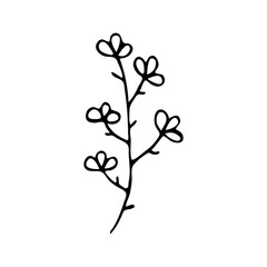 Doodle botany element. Hand-drawn images of flora. Image for various designs.