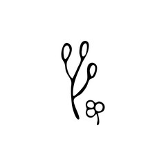 Doodle botany element. Hand-drawn images of flora. Image for various designs.