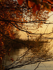 Abendstimmung am Kreuz