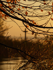 Kreuz K&ouml;nig Ludwig