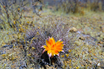 Mirador de Antaymarca, Andagua, P&eacute;rou