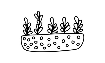 Houseplant in the pot. Vector doodle illustration. Home gardening