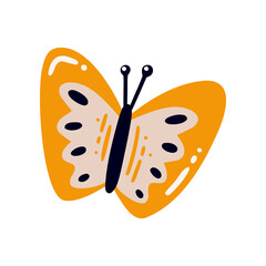 Hand drawn colored cartoon flying moth. Beautiful butterfly isolated on white background. Colorful flat vector illustration