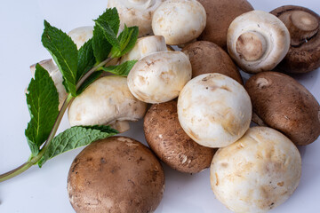 Fresh mushrooms, ingredient, freshness food