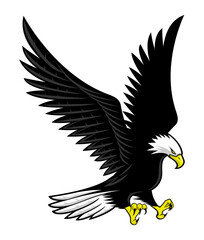 Flying bald eagle icon isolated on white background.
