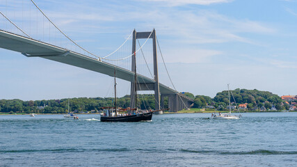 Obraz premium The city of Middelfart next to The New Little Belt Bridge. Here are some of the more expensive houses with a view of both the ocean and green nature.