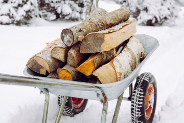 Using wheelbarrow to bring chopped dry firewood to home house in the winter. Snowy on background.