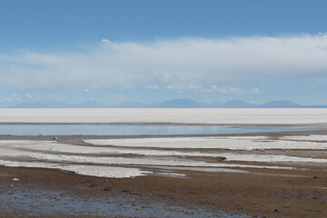 Salzwüste Bolivien