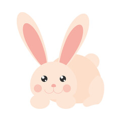 cute rabbit cartoon