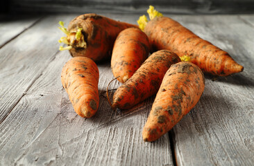 Real, natural carrots, soiled in fresh soil, lie on a wooden table. New harvest.