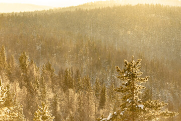 Winter sunny mountains of the Urals. Bright sun and severe frost. Golden snow in the sunlight