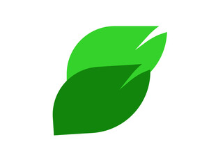 green leaf icon