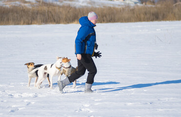 Mature woman playing with three dogs on a snow covered earth  winter season