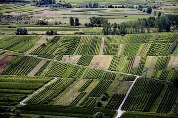 Garden, orchards and fields in the delta of the river Neretva. Dalmatia, Croatia