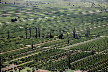 Garden, orchards and fields in the delta of the river Neretva. Dalmatia, Croatia