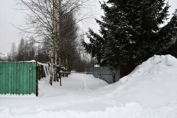 Fototapeta na wymiar Snowfall. A cloudy winter day. A large snowdrift under a tall old spruce tree. A path in the snow between two solid fences. Closed barrier.