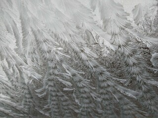 frost painting