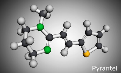 Pyrantel molecule. It is pyrimidine derivative anthelmintic antinematodal drug for treatment of intestinal nematodes such as pinworms and roundworms. Molecular model. 3D rendering