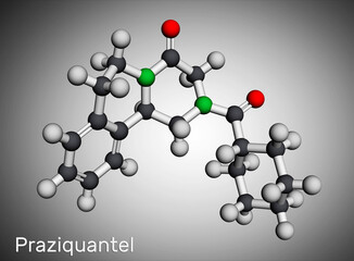 Praziquantel, PZQ, molecule. It is anthelmintic drug for treatment cysticercosis, schistosome, cestode and trematode infestations. Molecular model. 3D rendering