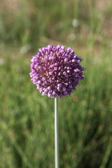 Altea, Alicante, Spain