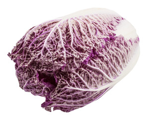 Cabbage kimch isolated on white background with clipping path