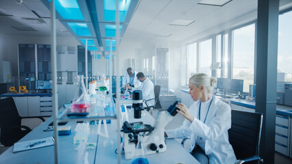 Modern Medical Research Laboratory: Team of Scientists Working with Pipette, Analysing...