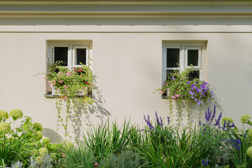 Fototapeta na wymiar Cozy country cottage (house) facade with windows and flower garden
