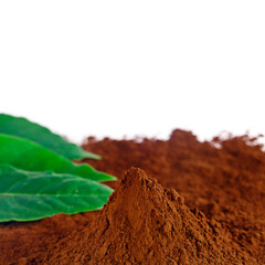 Heap of cacao powder with green leaves on a blurred background.