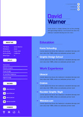 Professiona resume design / Clean CV design for professional purposes
