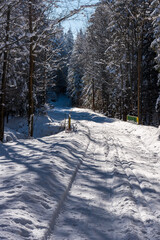 Winter scenery with snow covered road, forest and small bridge