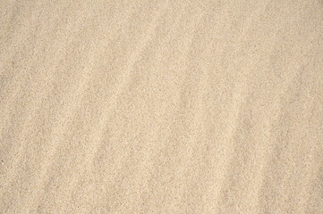 Fototapeta na wymiar 砂浜の砂イメージ