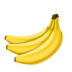 Banana Fruit vector illustration in cartoon style. Healthy nutrition, organic food, vegetarian product.