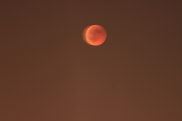 Bloody Moon 