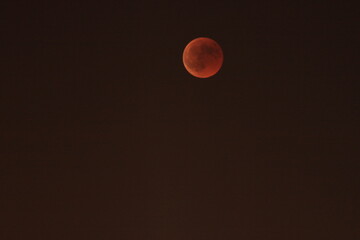 Bloody Moon 
