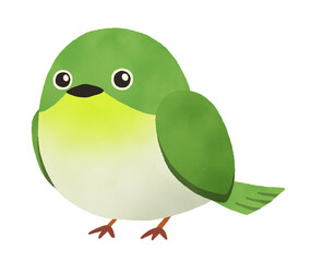 かわいいメジロと桜の水彩イラスト　背景なし　日本