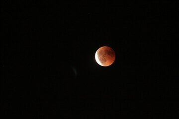 Bloody Moon 