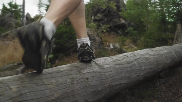 A female hiker walking on timber in the desolate forest