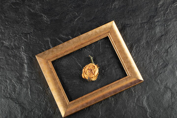 Dried rose with frame on a black background
