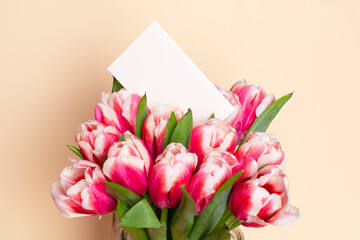 Bouquet of fresh red-white tulips on beige background. Gift for romantic date. Tender spring flowers. Bunch of tulips for Mother's Day, March 8