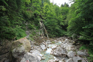 Mountain Stream 