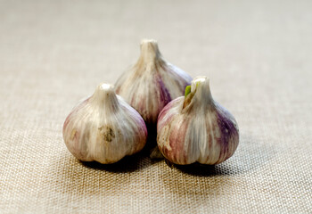 Fried flatbread with meat filling. Known in Asia as chebureks.