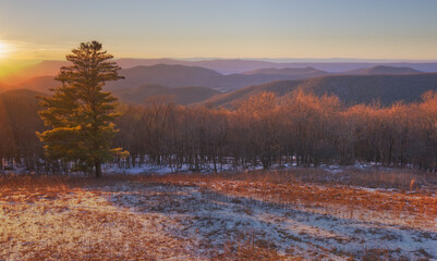 Blue Ridge Mountain view at sunset with the trees glowing from the setting sun.