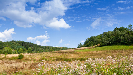 Green mountain landscape