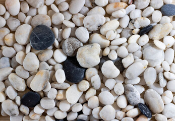 Background of sea pebbles close-up. Sea pebble texture