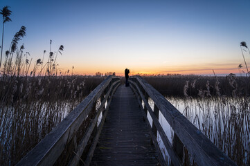 Silhouette of a man on a small bridge, birdwatching during sunset in a nature reserve. 