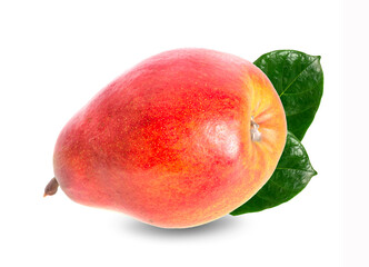 pear an isolated on white background