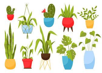 set of home plants in pots. vector illustration in cartoon style.