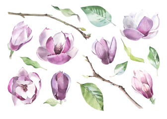 Watercolor Floral Elements Set Magnolia Flowers, Leaves and Branches